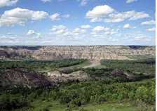 Theodore Roosevelt National Park 